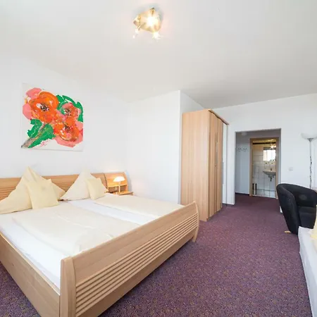 Отель Europa Garni Free Parking 3*